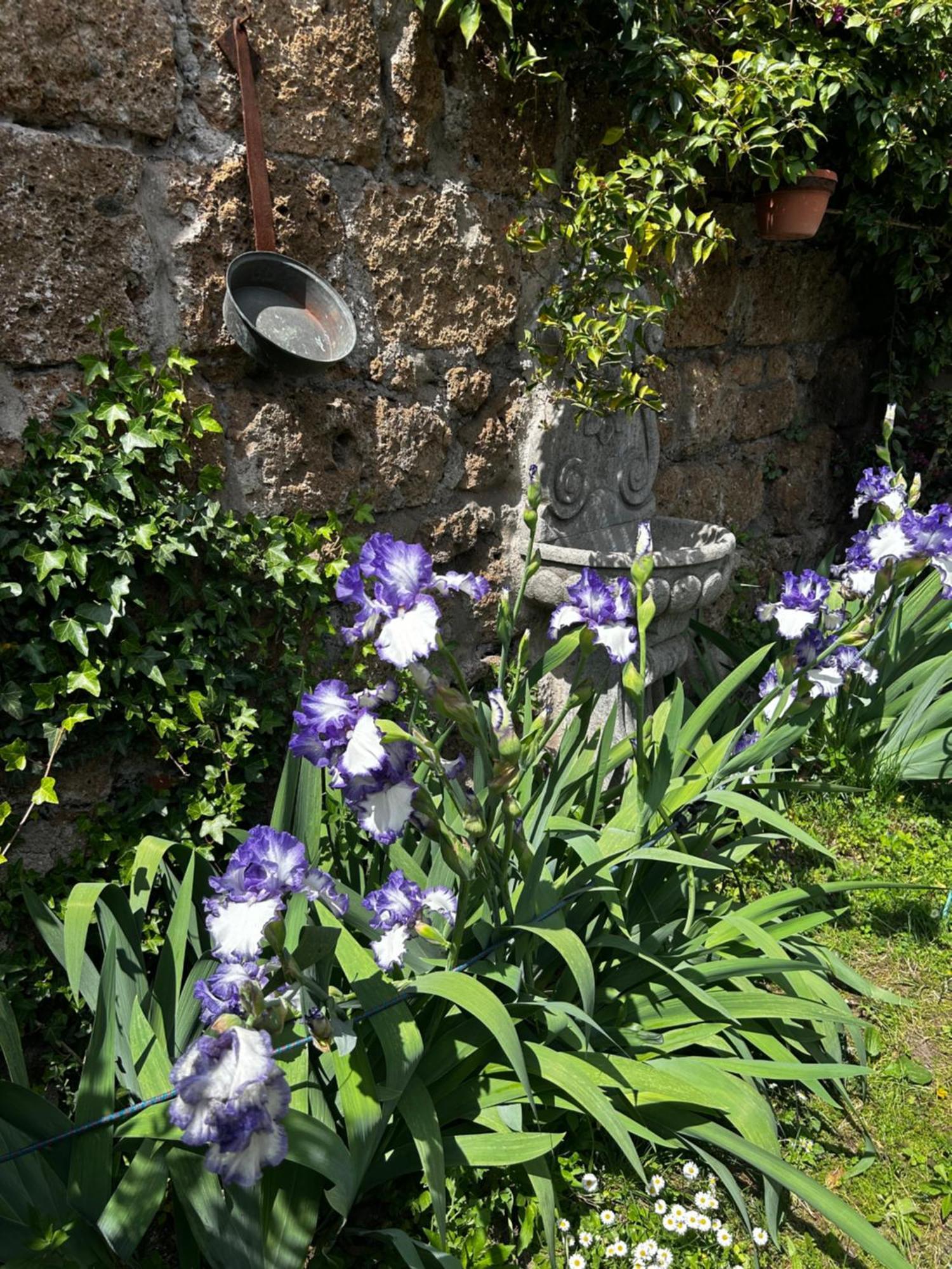 B&B Etruscan Garden Sutri Exterior foto